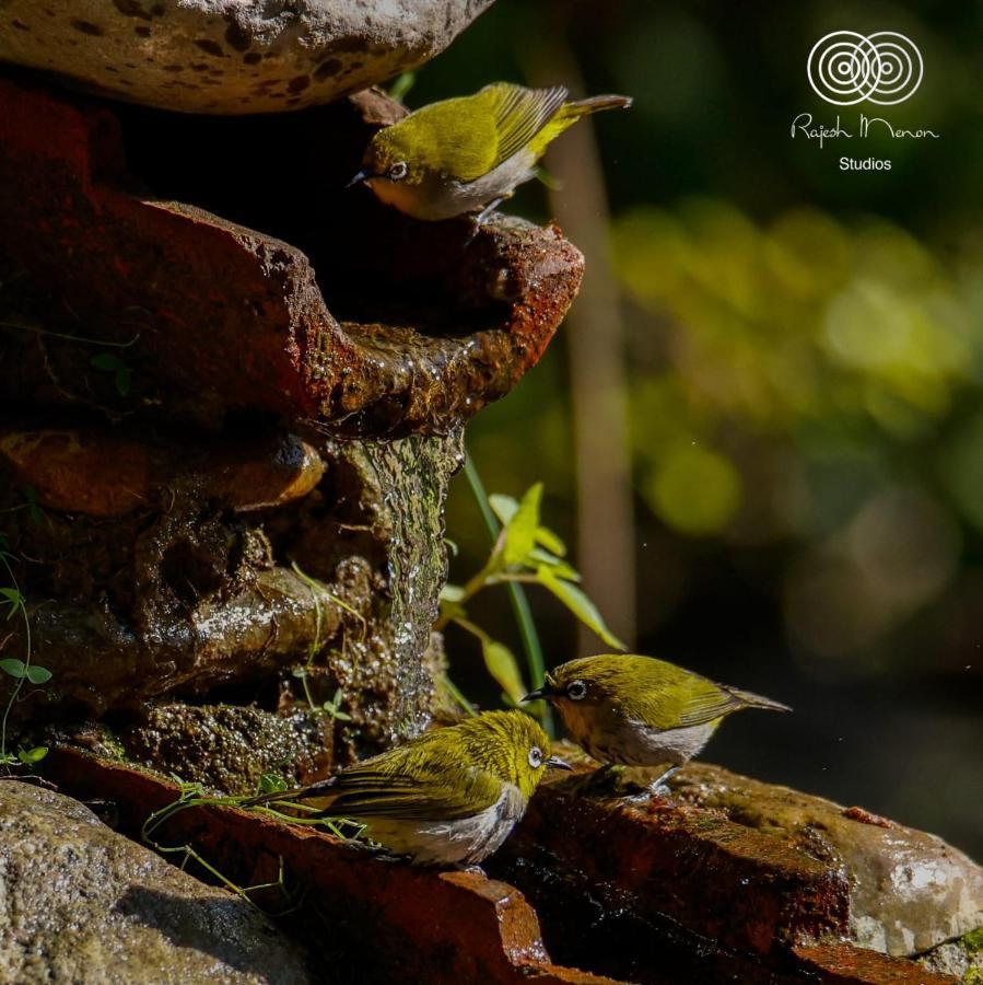 Corbett Nature Retreat Ramnagar  Exterior photo