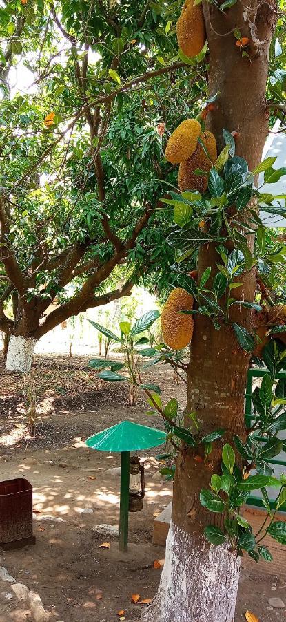 Corbett Nature Retreat Ramnagar  Exterior photo
