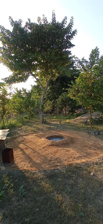 Corbett Nature Retreat Ramnagar  Exterior photo
