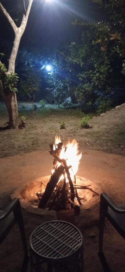 Corbett Nature Retreat Ramnagar  Exterior photo