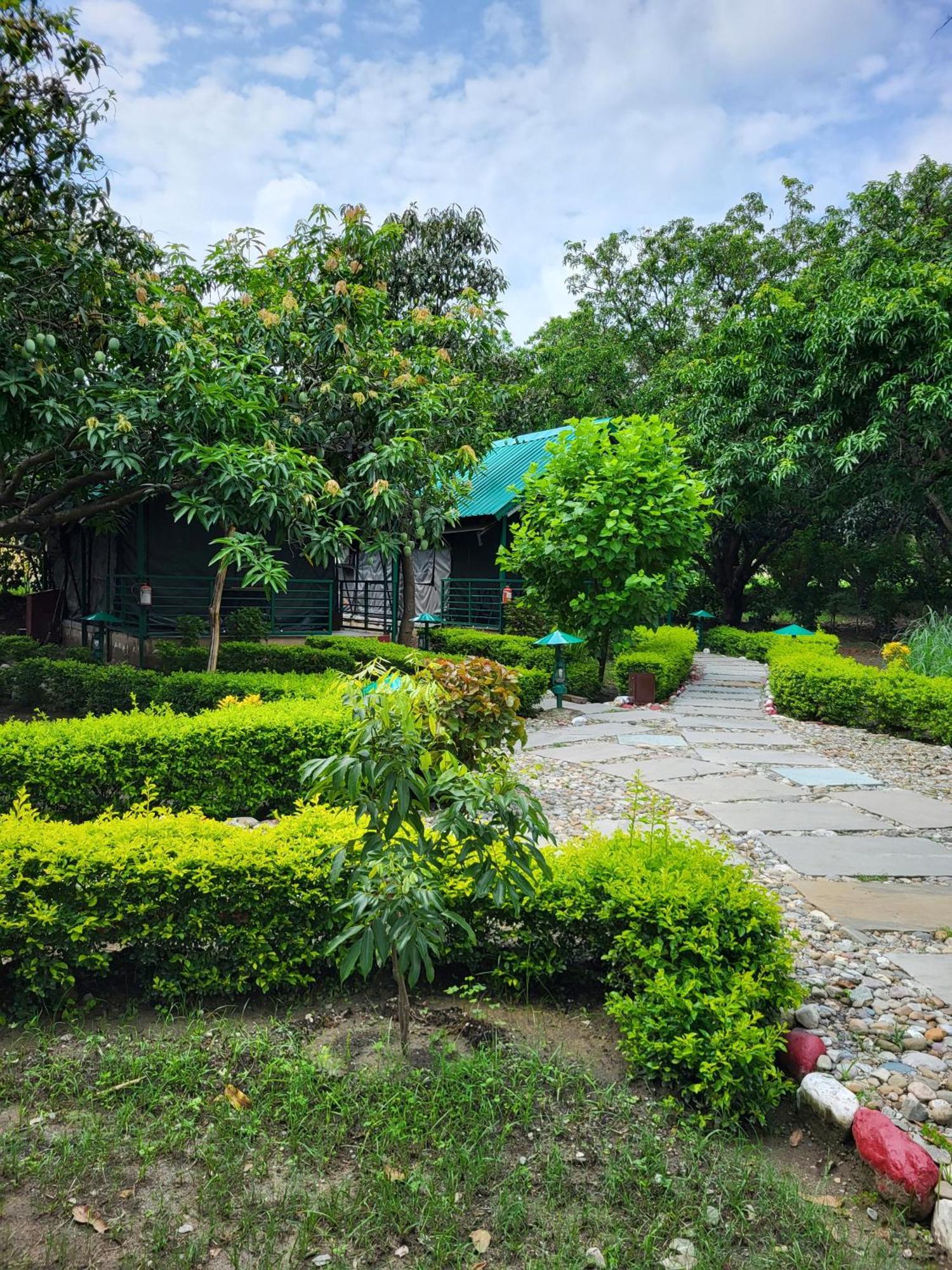 Corbett Nature Retreat Ramnagar  Exterior photo