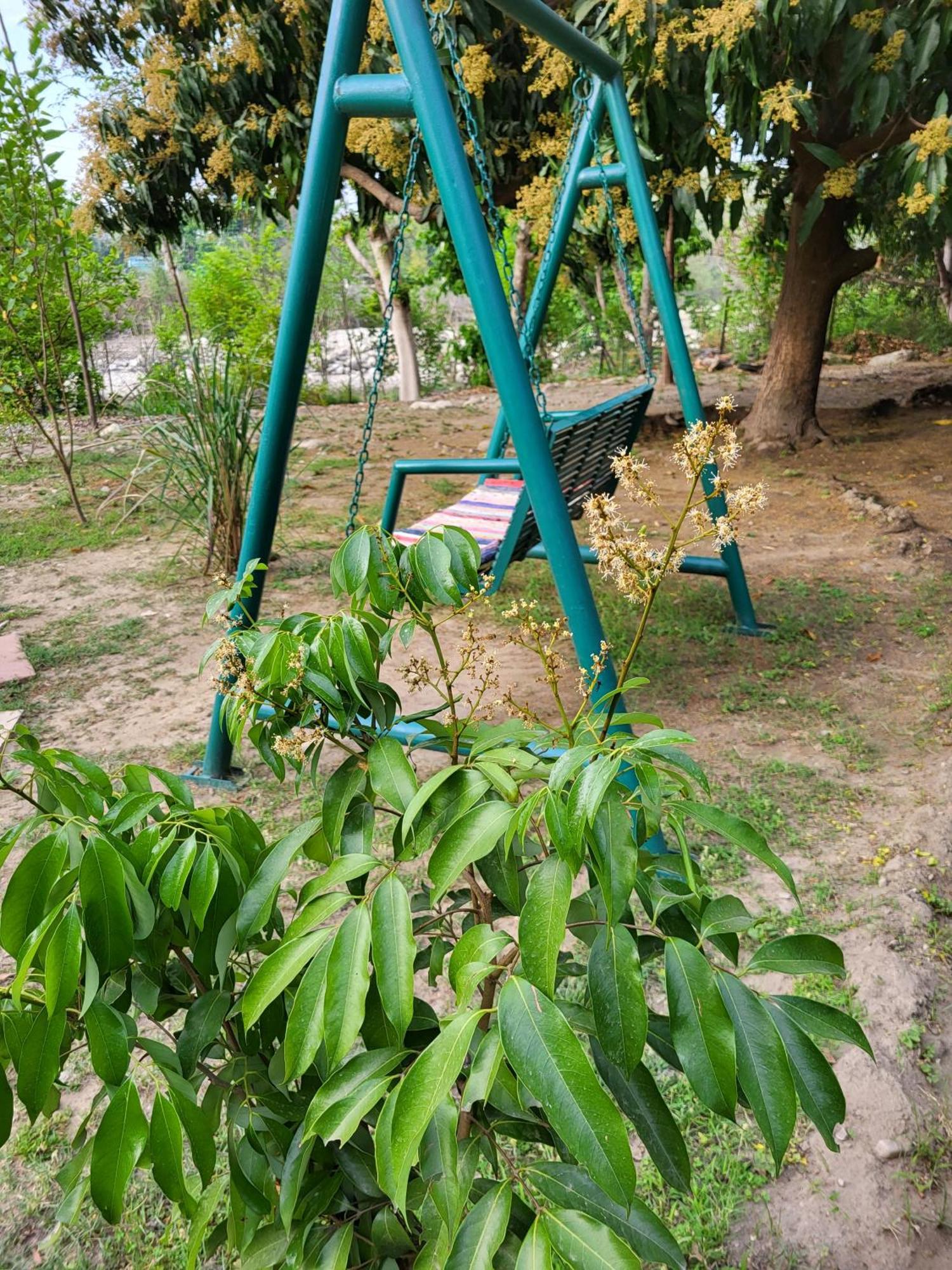 Corbett Nature Retreat Ramnagar  Exterior photo